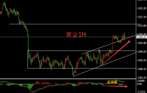 聂易铭：5月25日炒黄金凌晨美盘参考建议