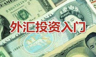 外汇投资怎么样？外汇投资入门与技巧