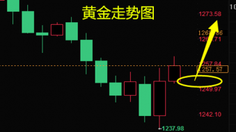 乐志杰：7.4黄金现大阳1258下直接多，原油多头强势继续追