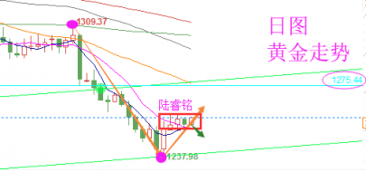 陆睿铭：黄金伦敦金1260美元分水岭，美原油震荡酝酿多头