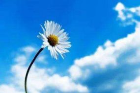 沈梦婕：8.6不用泪水悔恨昨天，要用汗水拼搏今天