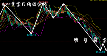 明哲霸金：8.20黄金多空反复被套，下周金油行情展望