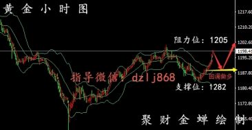 聚财金蝉：8.24-8.25黄金走势分析，原油操作建议附解套