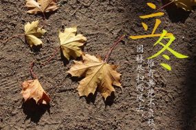 李璋皓：11.7黄金昨夜深度回撤是为何，今日迎爆发？