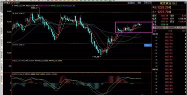 11.23金赫城：今日黄金持续震荡应如何稳定布局？