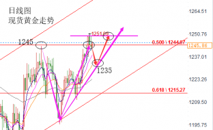 陆睿铭：加息前景不乐观黄金短线回调，美原油存变数看好上涨