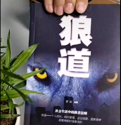 20190509/179f403634eecb9299e8ca79fa5c54e4.png