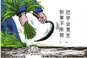 成梦轩：斩草要除根！可你真的明白黄金市场亏损的本质是什么吗