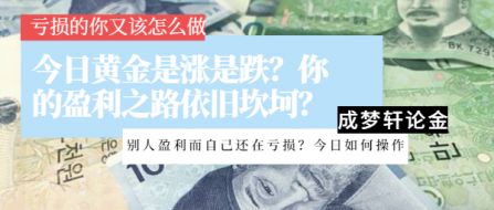 619一夜赚20点！今日黄金是涨是跌？附黄金投资稳定盈利技巧