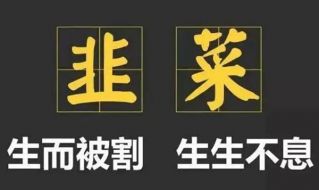 捡钱行情赚小亏大？你是黄金亏损的韭菜吗？看完这10条就明白了