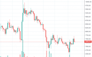 12.24BTC今日行情走势分析，如何操作？